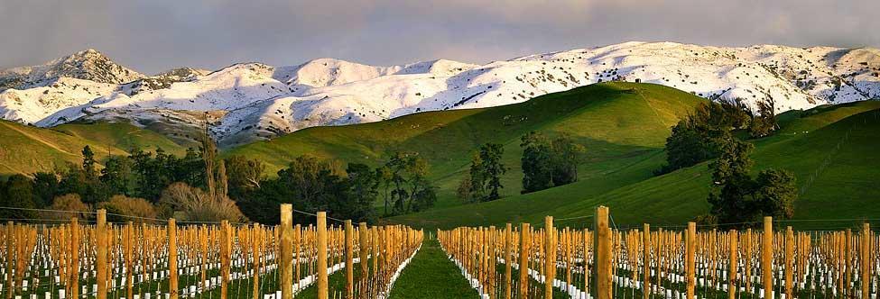 Marlborough Vintners Accommodation Blenheim Exteriér fotografie