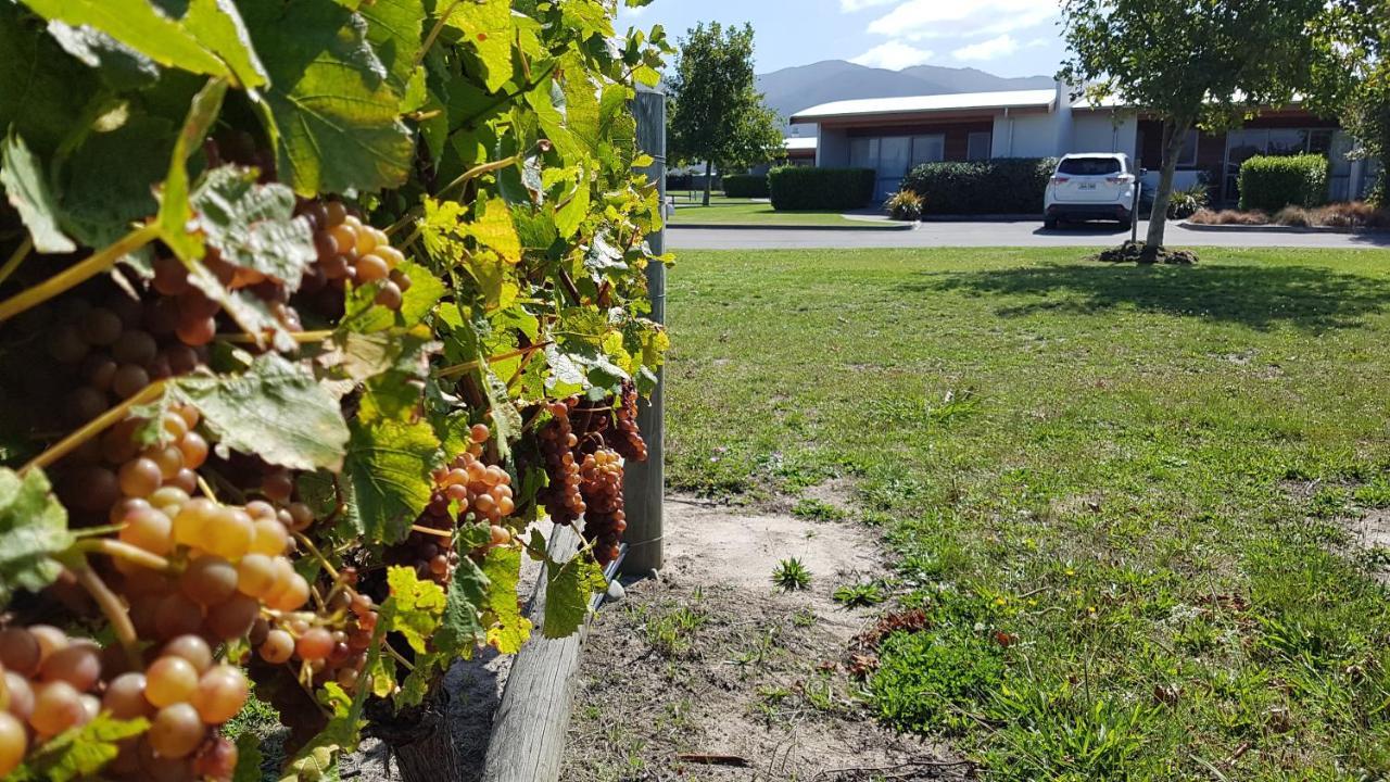 Marlborough Vintners Accommodation Blenheim Exteriér fotografie